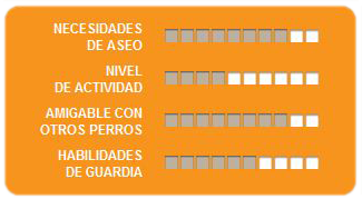 Caracteristicas del Afgano