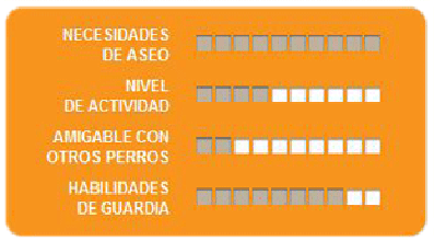 Caracteristicas airedale