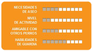 Caracteristicas Basset Hound