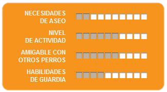 Caracteristicas Beagle