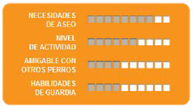 Caracteristicas border collie