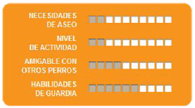 Caracteristicas boston