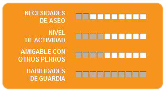 Caracteristicas Boxer