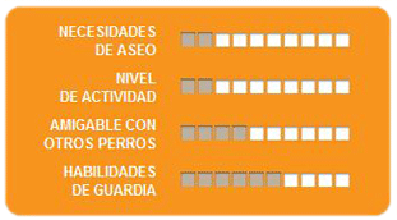 Caracteristicas Bulldog Frances