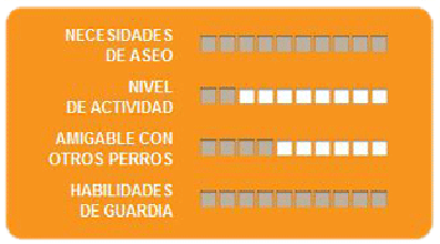 Caracteristicas Bulldog ingles