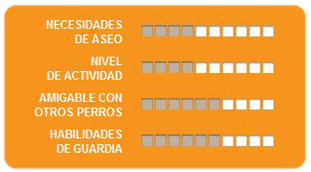 Caracteristicas cocker