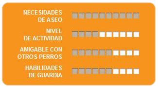 Caracteristicas collie