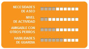 Caracteristicas salchicha