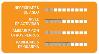 Caracteristicas dalmata