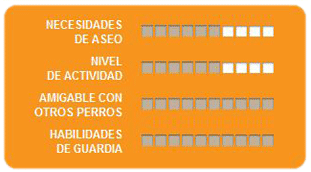 Caracteristicas pinscher