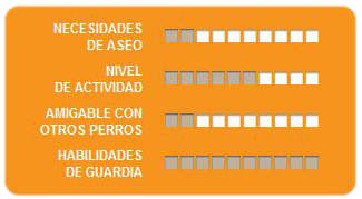 Caracteristicas doberman