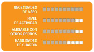 Caracteristicas golden