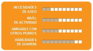 Caracteristicas gran danes