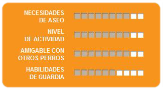 Caracteristicas husky