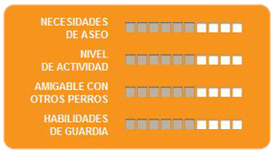 Caracteristicas mastin