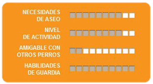 Caracteristicas pastor aleman