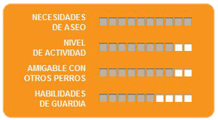 Caracteristicas pastor de shetland