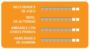 Caracteristicas pastor australiano