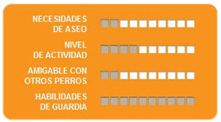 Caracteristicas pitbull