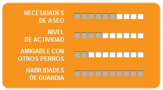 Caracteristicas rottweiler