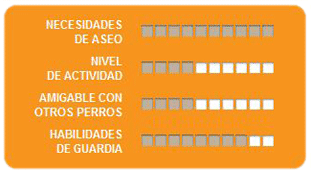 Caracteristicas San Bernardo