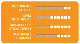 Caracteristicas Schnauzer