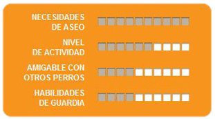 Caracteristicas setter