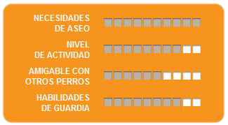 Caracteristicas Shar Pei