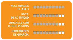 Caracteristicas bodbail