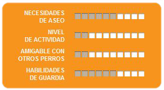 Caracteristicas weimaraner