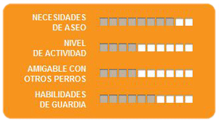 Caracteristicas Westy