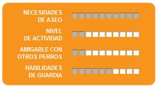 Caracteristicas Yorky